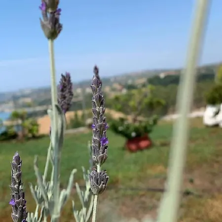 Maria Anastasia Apartment Trapezaki (Kefalonia)