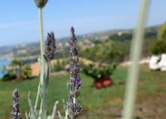 Maria Anastasia Apartamento Trapezaki (Kefalonia)