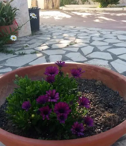 Maria Anastasia Trapezaki (Kefalonia)